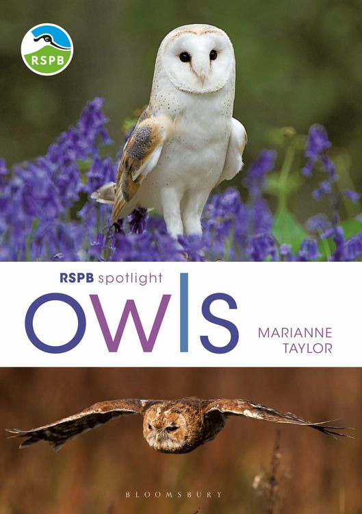 Produktbild: RSPB Spotlight Owls