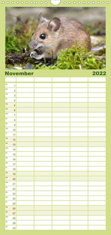 Produktbild: Familienplaner ... hier kommt die Maus ... (Wandkalender 2022 , 21 cm x 45 cm, hoch)