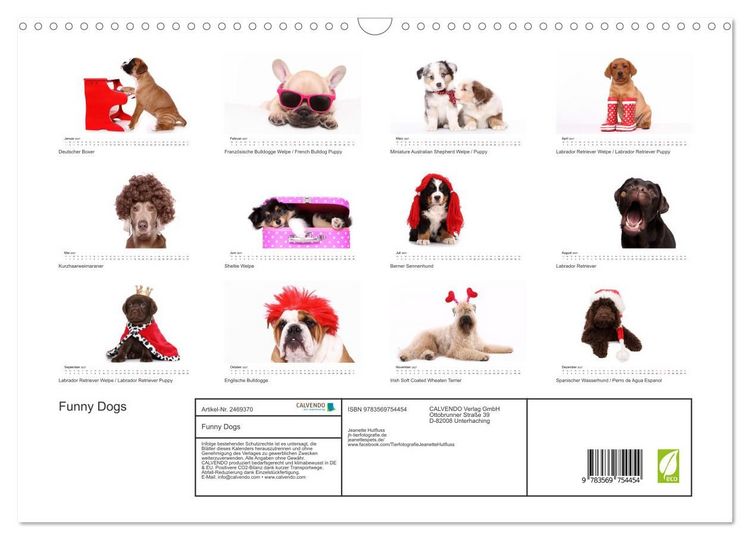 Produktbild: Funny Dogs (Wandkalender 2027 DIN A3 quer), CALVENDO Monatskalender