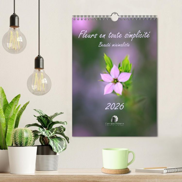 Produktbild: Fleurs en toute simplicit&eacute; - Beaut&eacute; minimaliste (Calendrier mural 2026 DIN A4 horizontal), CALVENDO calendrier mensuel