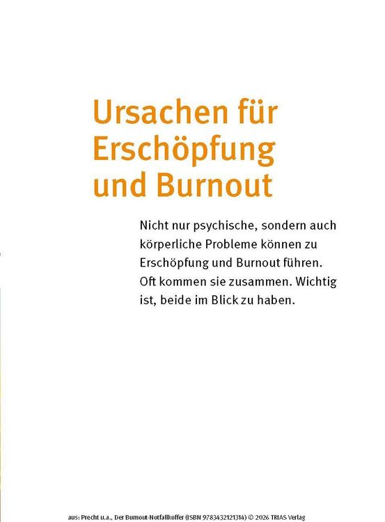 Produktbild: Der Burnout-Notfallkoffer