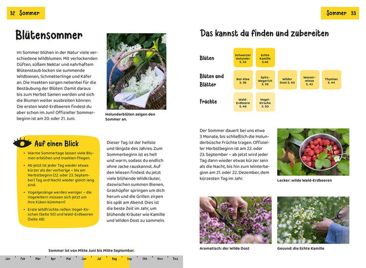 Welche essbare Pflanze ist das? Kindernaturfhrer" online kaufen