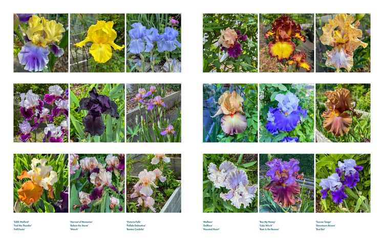 Produktbild: Life with Flowers