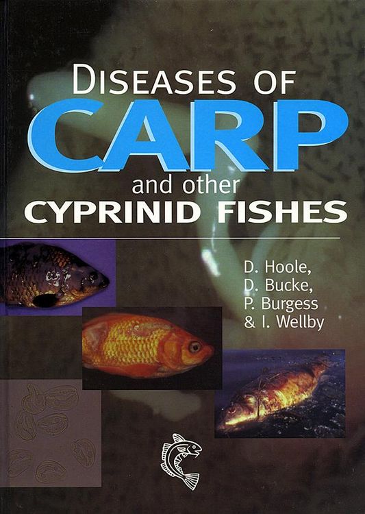 Produktbild: Diseases of Carp and Other Cyprinid Fishes