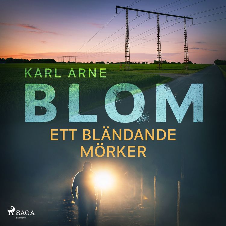 Produktbild: Ett bl&auml;ndande m&ouml;rker