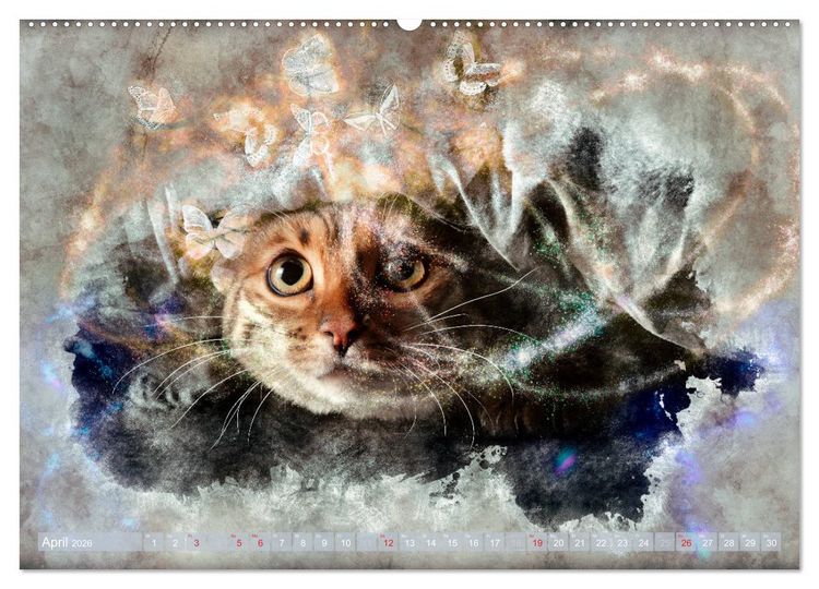 Produktbild: Katzenkalender mausgemalt (hochwertiger Premium Wandkalender 2026 DIN A2 quer), Kunstdruck in Hochglanz