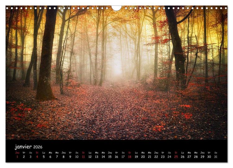 Produktbild: BROCELIANDE, la for&ecirc;t (Calendrier mural 2026 DIN A3 vertical), CALVENDO calendrier mensuel
