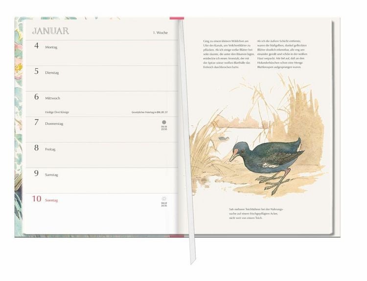 Produktbild: Edith Holden: Leben mit der Natur Kalenderbuch A5 2027 - Tagebuch & Kalender