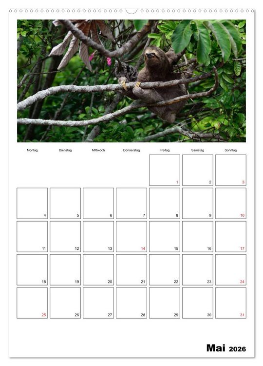 Produktbild: Brasilien. Wo die Sonne wohnt (hochwertiger Premium Wandkalender 2026 DIN A2 hoch), Kunstdruck in Hochglanz