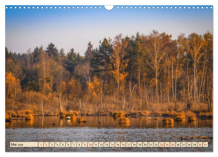 Produktbild: Herbst im Schwenninger Moos (Wandkalender 2026 DIN A3 quer), CALVENDO Monatskalender