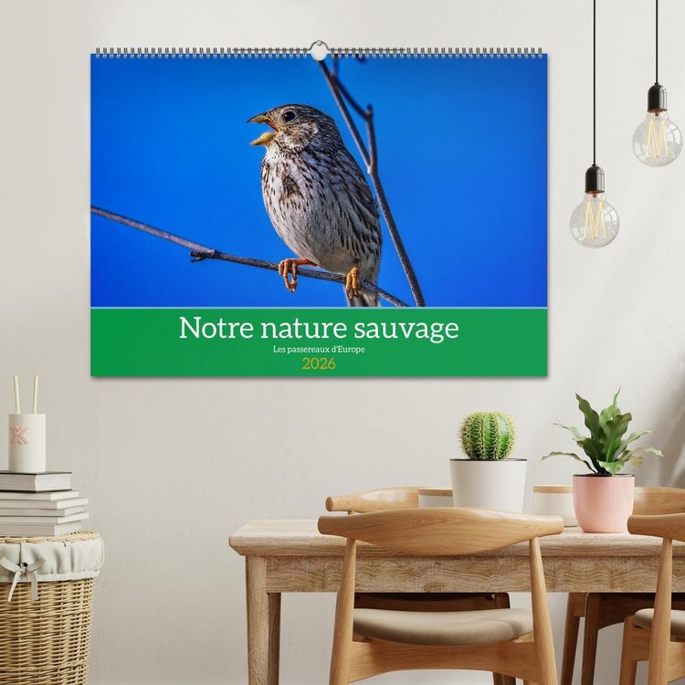 Produktbild: Notre nature sauvage, les passereaux d'Europe (Calendrier mural 2026 DIN A2 vertical), CALVENDO calendrier mensuel