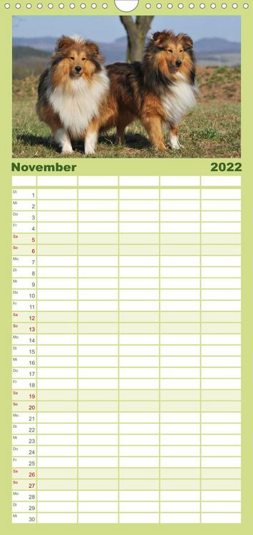 Produktbild: Sheltie 2022 - Familienplaner hoch (Wandkalender 2022 , 21 cm x 45 cm, hoch)