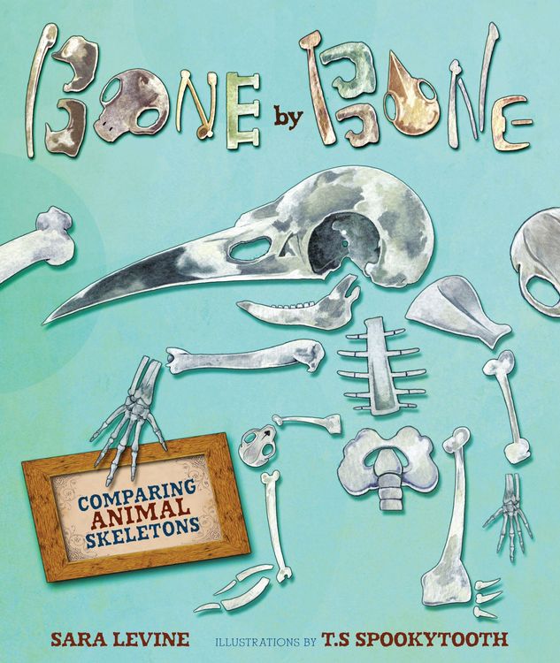 Produktbild: Bone by Bone