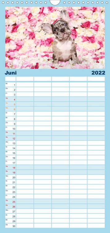 Produktbild: Bullys - Franz&ouml;sische Bulldoggen 2022 - Familienplaner hoch (Wandkalender 2022 , 21 cm x 45 cm, hoch)