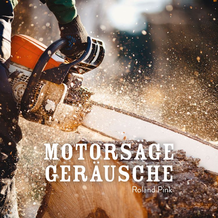 Produktbild: Motors&auml;ge Ger&auml;usche