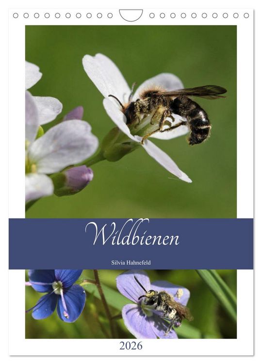 Produktbild: Wildbienen-Terminplaner 2026 (Wandkalender 2026 DIN A4 hoch), CALVENDO Monatskalender