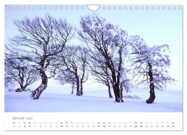 Produktbild: Der Schwarzwald Impressionen (Wandkalender 2026 DIN A4 quer), CALVENDO Monatskalender