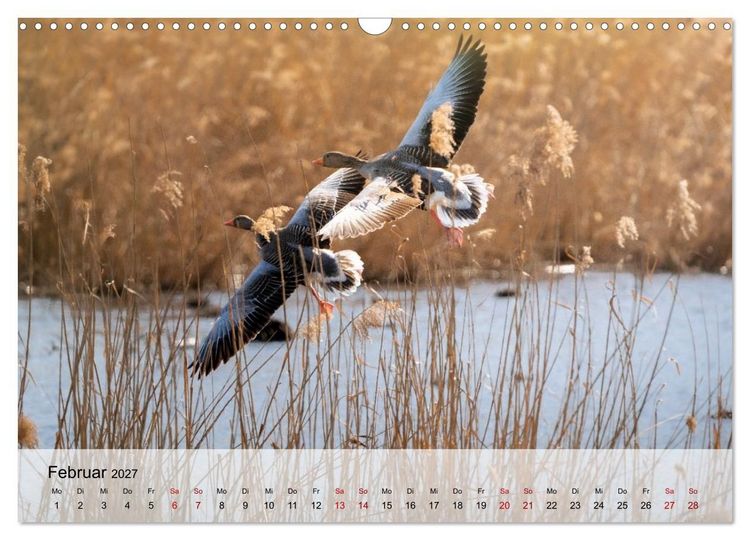Produktbild: Magische Tiermomente (Wandkalender 2027 DIN A3 quer), CALVENDO Monatskalender