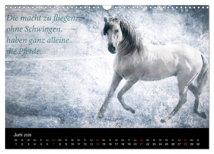 Produktbild: Pferde zum Tr&auml;umen (Wandkalender 2026 DIN A3 quer), CALVENDO Monatskalender