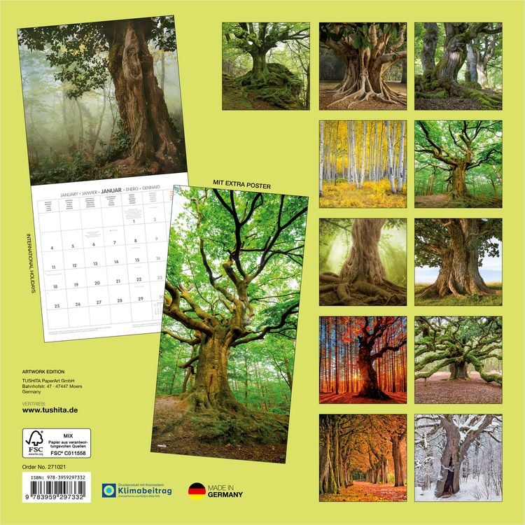 Produktbild: Die Kraft der B&auml;ume / The Power of Trees 2027