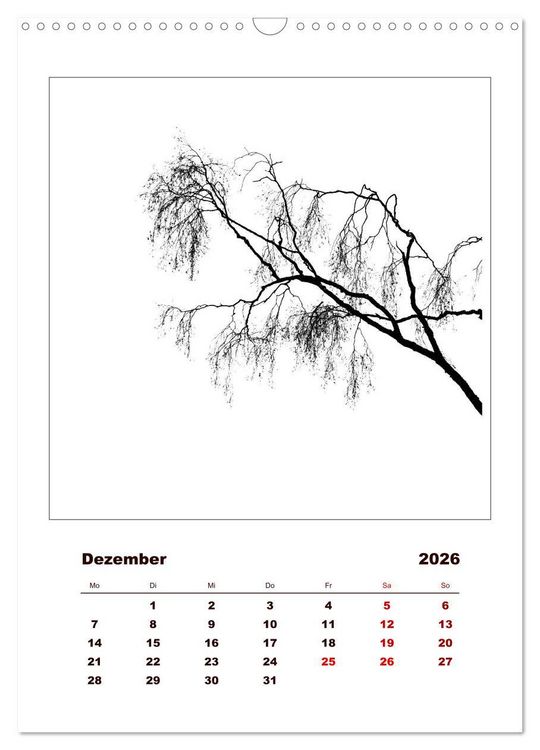 Produktbild: LignoGrafica - Muster und Strukturen der B&auml;ume (Wandkalender 2026 DIN A3 hoch), CALVENDO Monatskalender