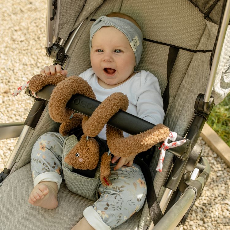Produktbild: Activity-Spirale B&auml;r
