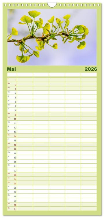 Produktbild: Familienplaner 2026 - Mit Ginkgo biloba durch das Jahr mit 5 Spalten (Wandkalender, 21 x 45 cm) CALVENDO