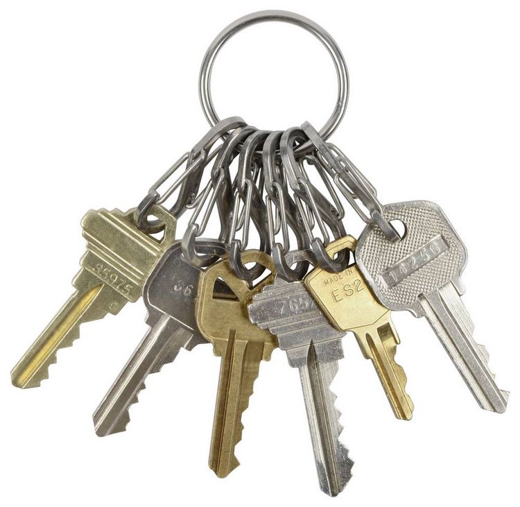 Produktbild: NITE Ize Schl&uuml;sselring NI-KRGS-11-R3 KeyRing 6 S-Biner Silber 1St.