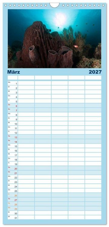 Produktbild: Familienplaner 2027 - Tauchen, Fische und Meer mit 5 Spalten (Wandkalender, 21 x 45 cm) CALVENDO