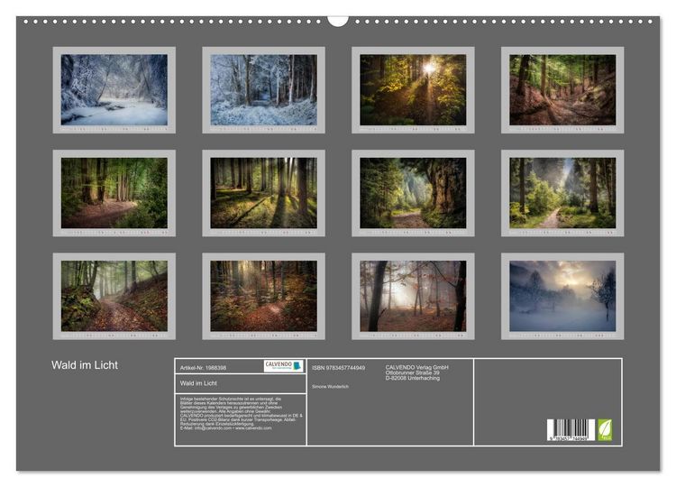Produktbild: Wald im Licht (Wandkalender 2026 DIN A2 quer), CALVENDO Monatskalender