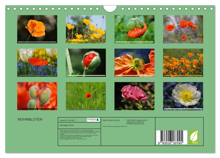 Produktbild: MOHNBL&Uuml;TEN (Wandkalender 2026 DIN A4 quer), CALVENDO Monatskalender