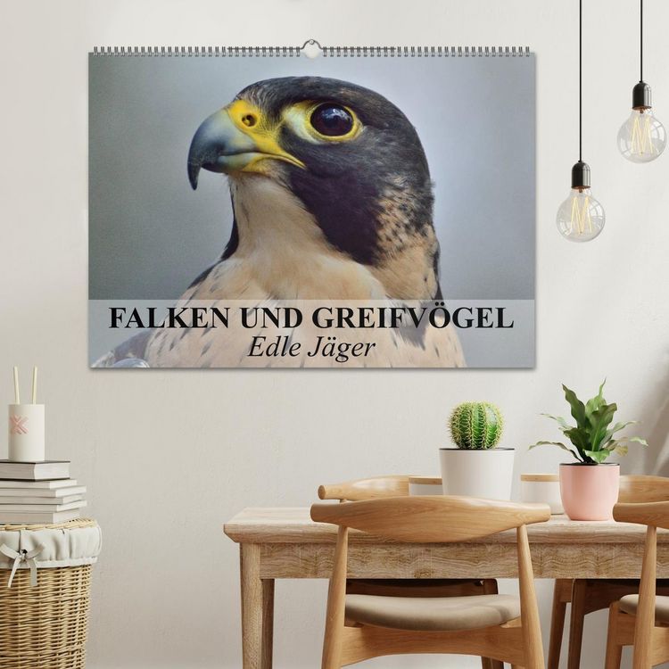 Produktbild: Falken und Greifv&ouml;gel. Edle J&auml;ger (Wandkalender 2026 DIN A2 quer), CALVENDO Monatskalender