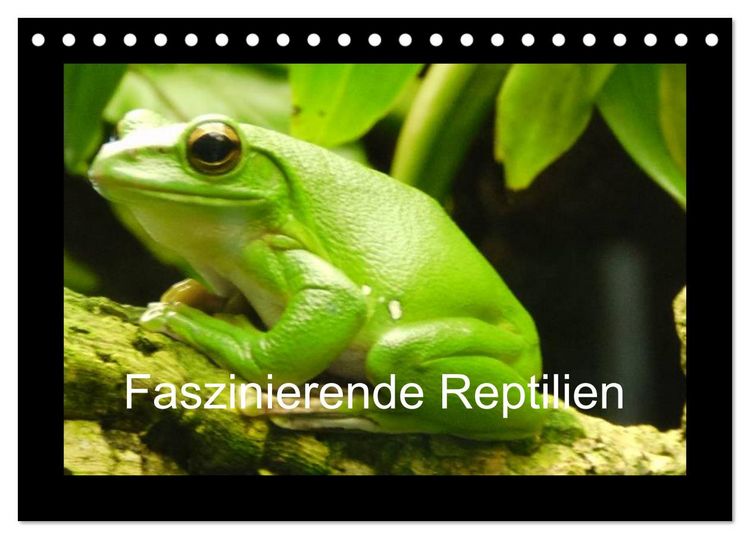Produktbild: Faszinierende Reptilien (Tischkalender 2026 DIN A5 quer), CALVENDO Monatskalender