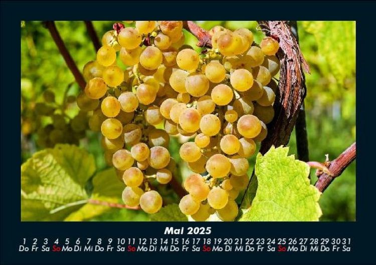 Produktbild: Obstkalender 2025 Fotokalender DIN A5