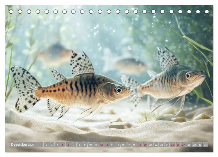 Produktbild: Tiefenentspanntes Aquarium (Tischkalender 2026 DIN A5 quer), CALVENDO Monatskalender