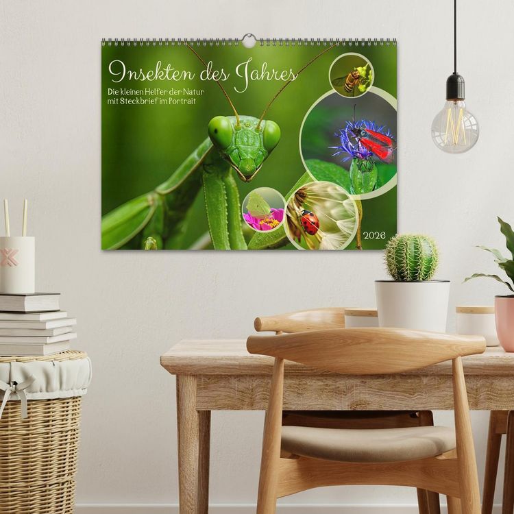 Produktbild: Insekt des Jahres (Wandkalender 2026 DIN A3 quer), CALVENDO Monatskalender