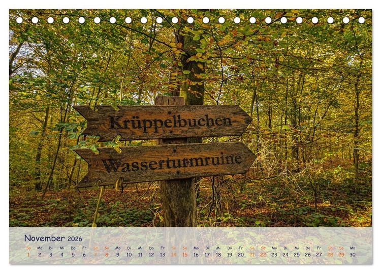 Produktbild: R&uuml;genliebe (Tischkalender 2026 DIN A5 quer), CALVENDO Monatskalender