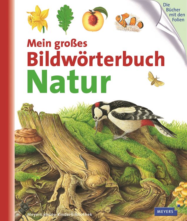 Produktbild: Mein gro&szlig;es Bildw&ouml;rterbuch Natur