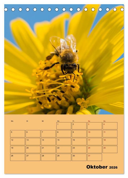 Produktbild: Die Biene und die Farbe gelb (Tischkalender 2026 DIN A5 hoch), CALVENDO Monatskalender