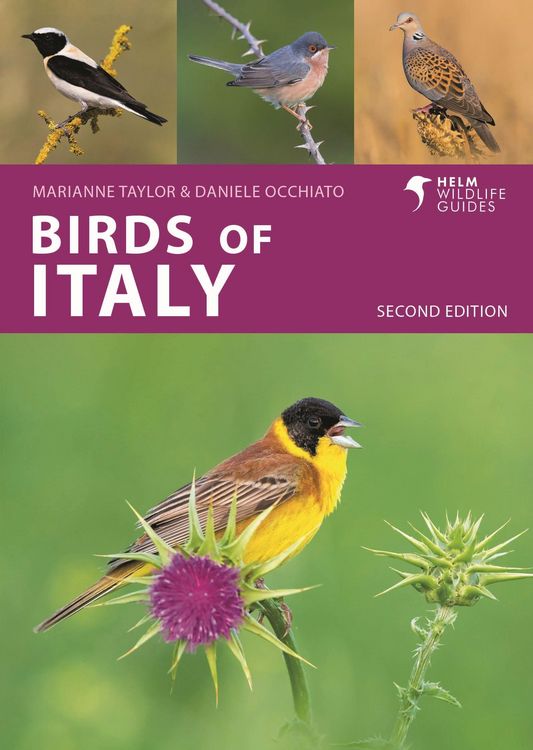 Produktbild: Birds of Italy