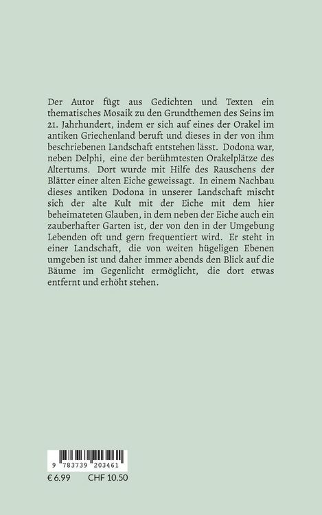 Produktbild: B&auml;ume am Abend im Gegenlicht