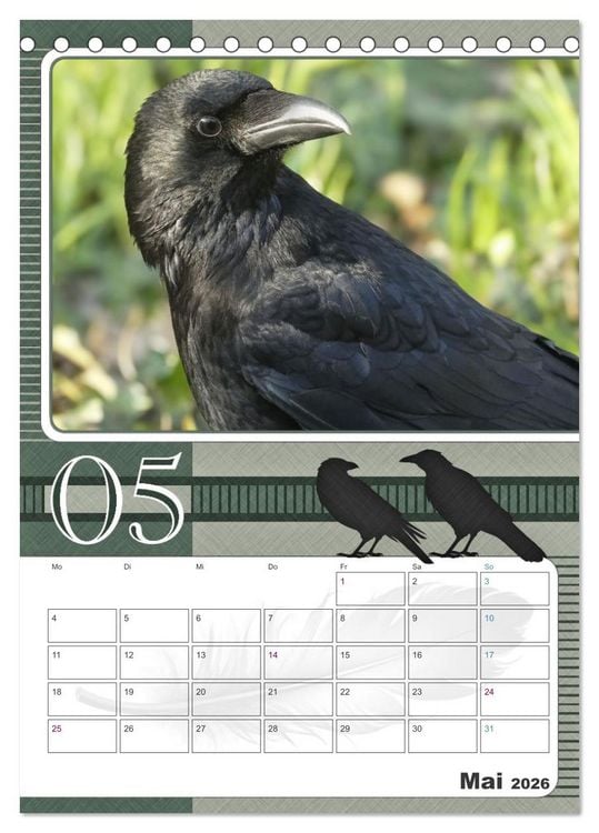 Produktbild: Kr&auml;hen - Clever notiert! Mit K&ouml;pfchen durchs ganze Jahr (Tischkalender 2026 DIN A5 hoch), CALVENDO Monatskalender