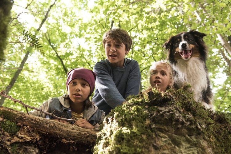 Produktbild: Fünf Freunde und das Tal der Dinosaurier