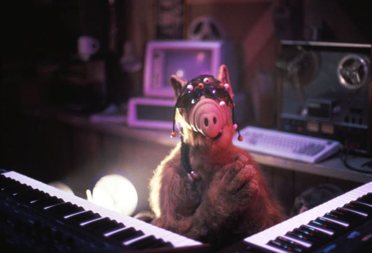 Produktbild: Alf - Staffel 2 [4 DVDs]