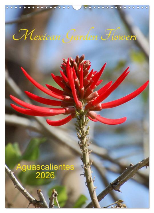 Produktbild: Mexican Garden Flowers - Aguascalientes (Wall Calendar 2026 DIN A3 portrait), CALVENDO 12 Month Wall Calendar
