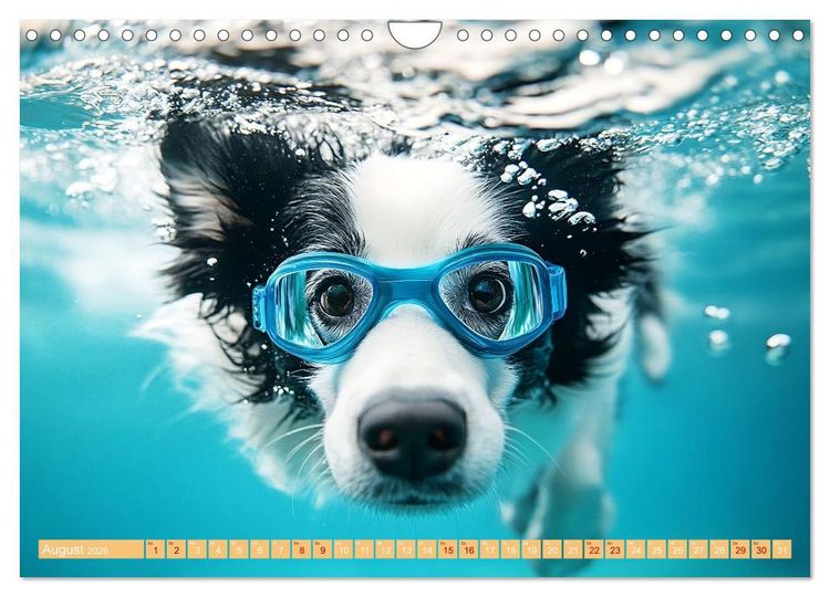 Produktbild: Lustige Sportarten f&uuml;r Hunde (Wandkalender 2026 DIN A4 quer), CALVENDO Monatskalender