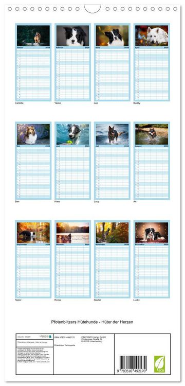 Produktbild: Familienplaner 2026 - H&uuml;tehunde - H&uuml;ter der Herzen mit 5 Spalten (Wandkalender, 21 x 45 cm) CALVENDO