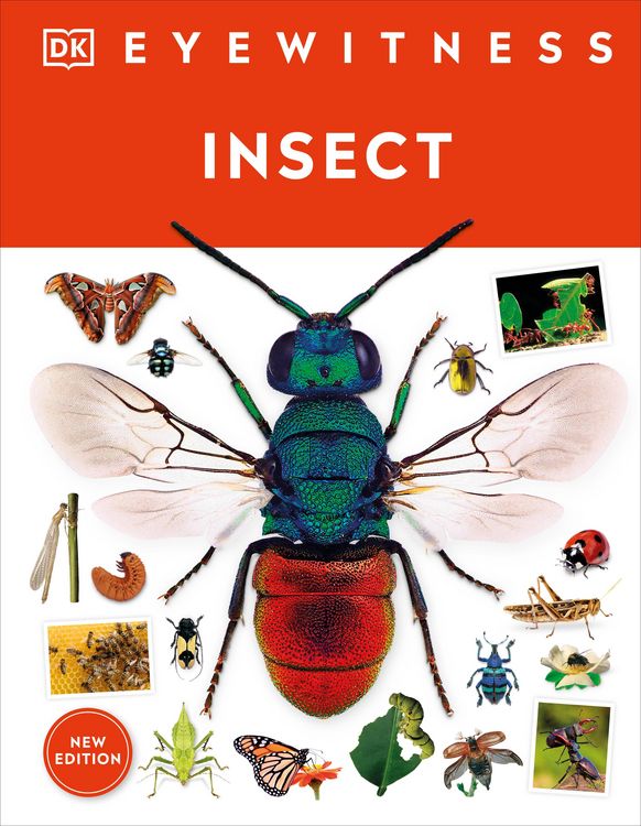 Produktbild: Eyewitness Insect