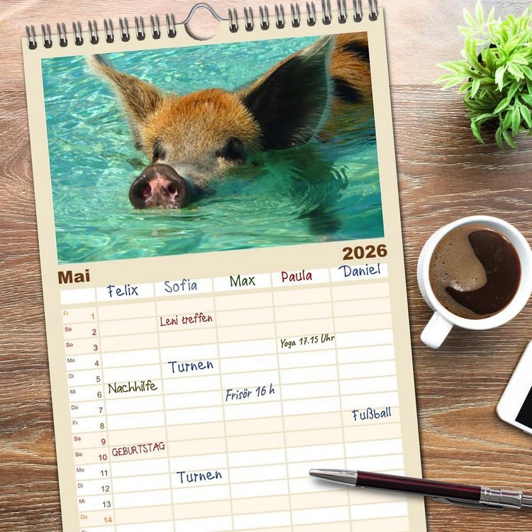 Produktbild: Familienplaner 2026 - Schwimmende Schweine auf den Bahamas! mit 5 Spalten (Wandkalender, 21 x 45 cm) CALVENDO