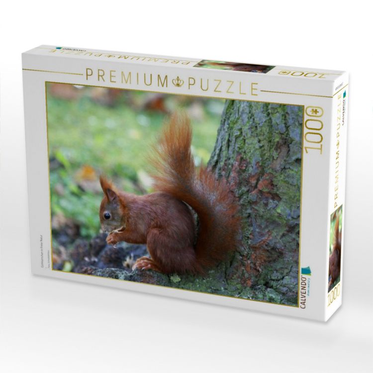 Produktbild: CALVENDO Puzzle Eichh&ouml;rnchen in freier Natur | 1000 Teile Lege-Gr&ouml;&szlig;e 64x48cm Foto-Puzzle f&uuml;r gl&uuml;ckliche Stunden